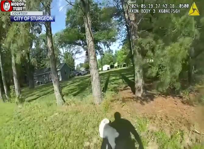 Video :Horrifying Video - A Deaf and Blind Little Dog Is Killed by an Idiotic Police Officer